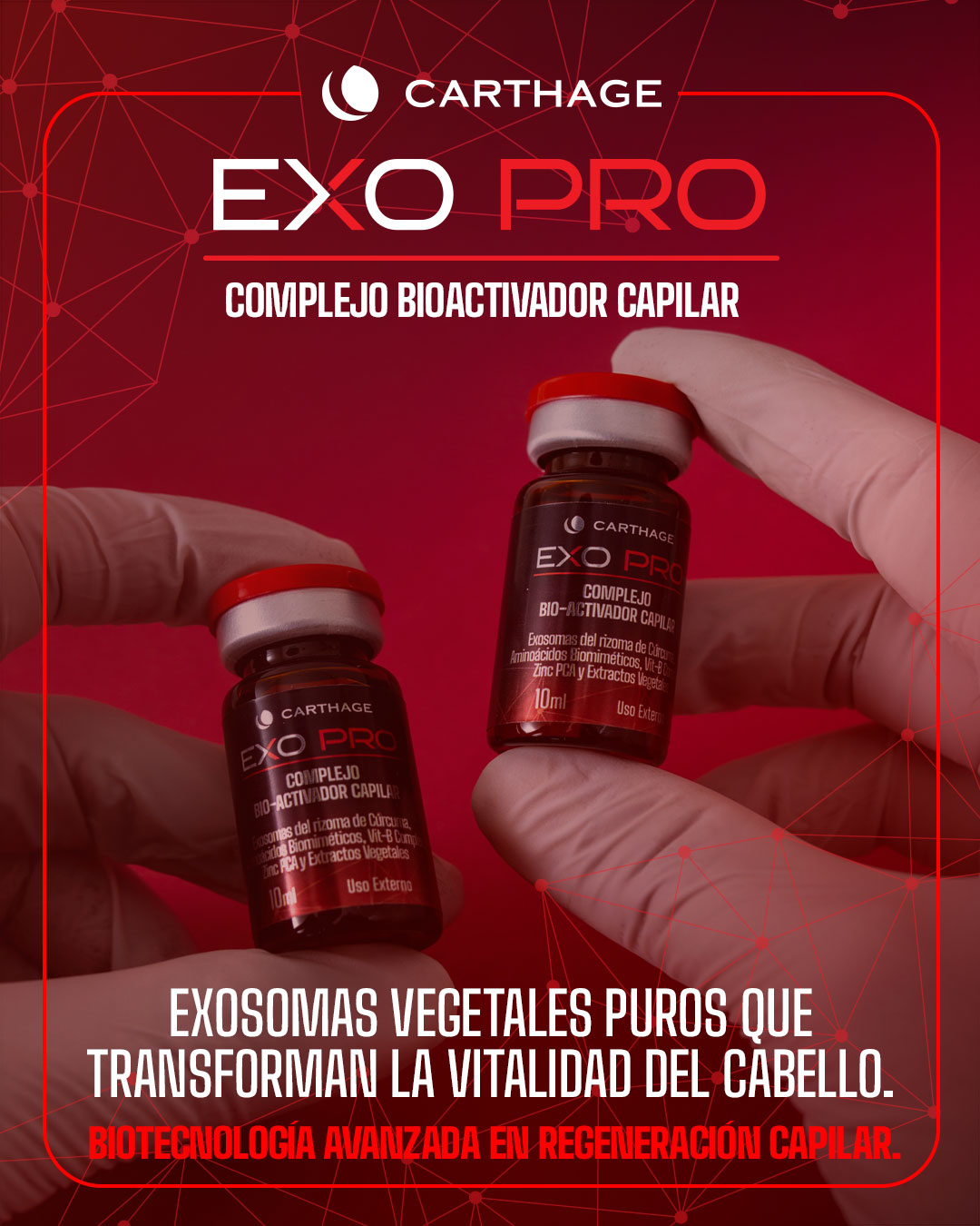 Exosomas: la nueva frontera en regeneración capilar